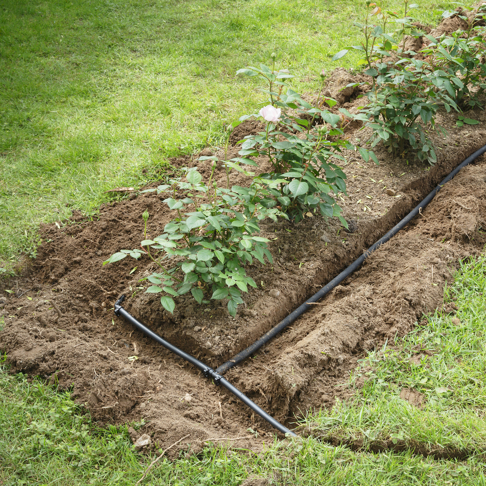 Irrigation Systems Job Leads Access 8333 Monthly Jobs